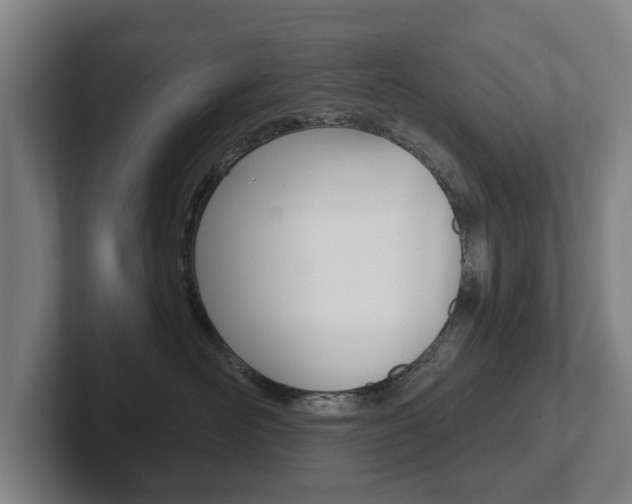 X0000102290526200807251003