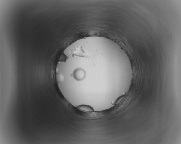 X0000102290527200807251003