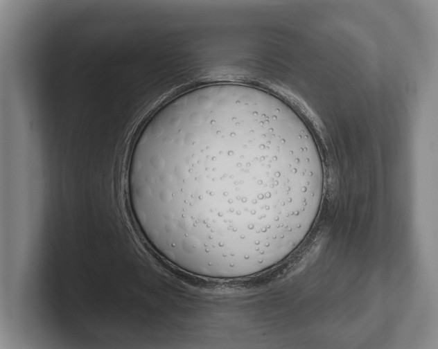 X0000102290529200807251003