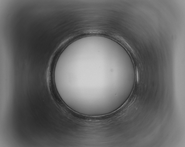 X0000102290531200807251003