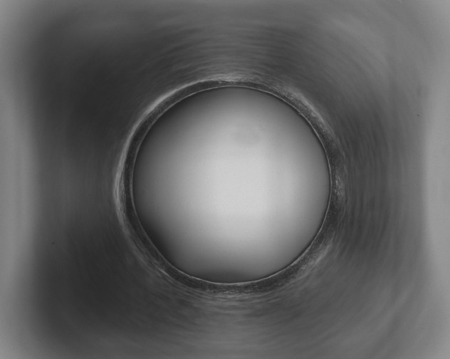 X0000102290532200807251003