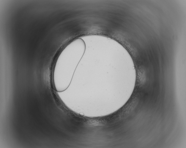 X0000102290534200807251003