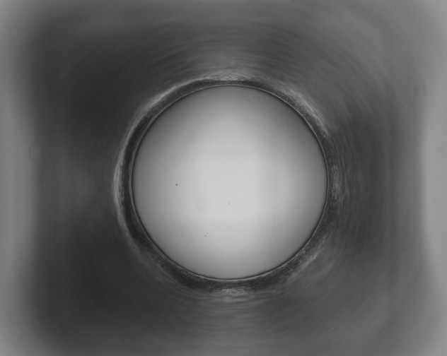 X0000102290536200807251003