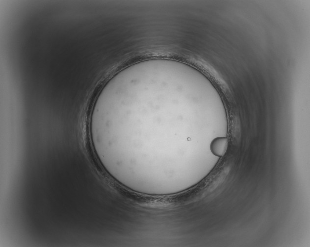 X0000102290537200807251003