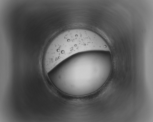 X0000102290538200807251003