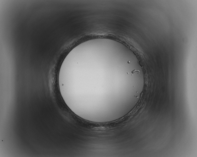X0000102290544200807251003
