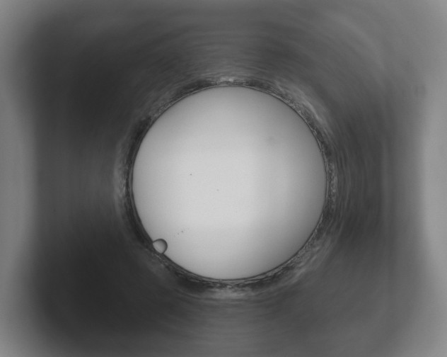 X0000102290545200807251003