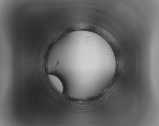 X0000102290546200807251003