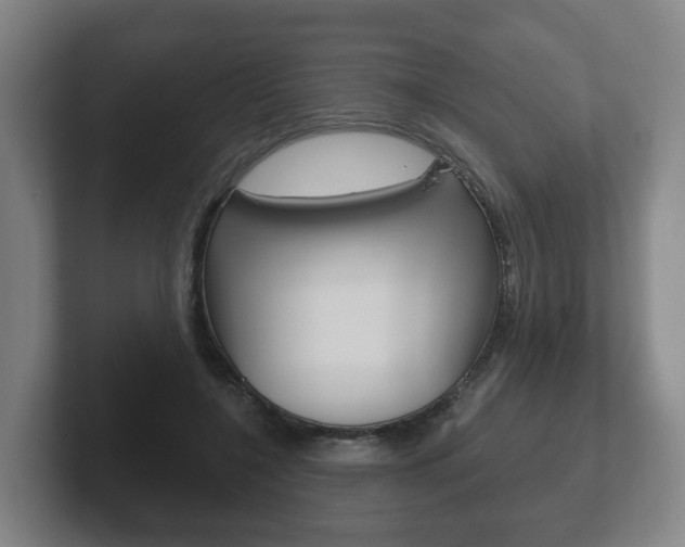 X0000102290548200807251003