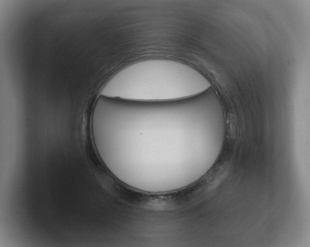 X0000102290550200807251003