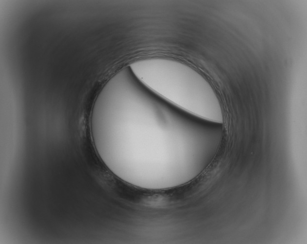 X0000102290551200807251003