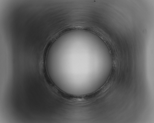 X0000102290552200807251003