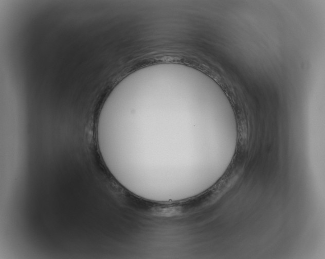 X0000102290553200807251003