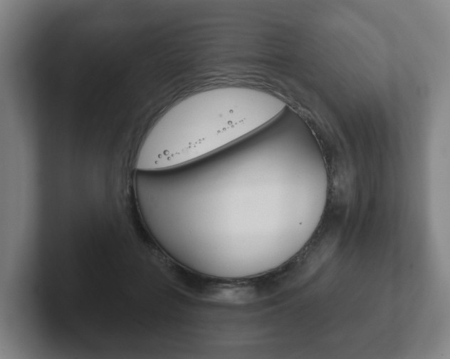 X0000102290555200807251003