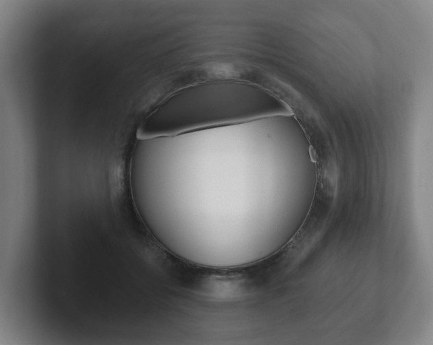 X0000102290556200807251003