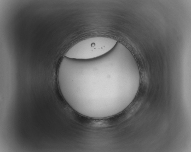 X0000102290557200807251003