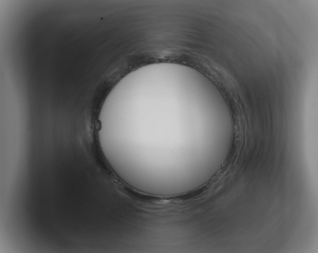 X0000102290558200807251003