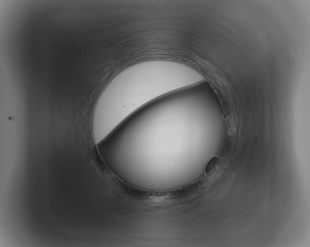 X0000102290560200807251003