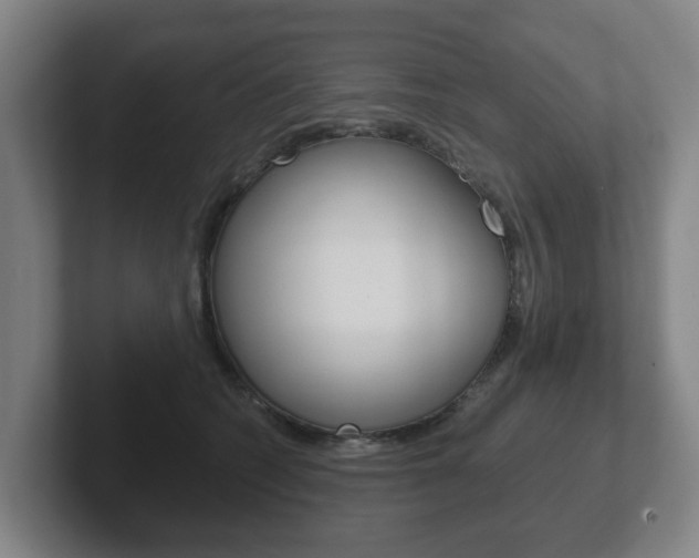 X0000102290562200807251003
