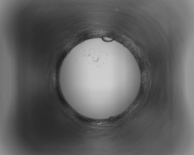 X0000102290564200807251003