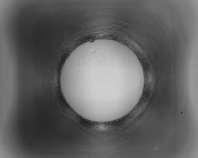 X0000102290565200807251003