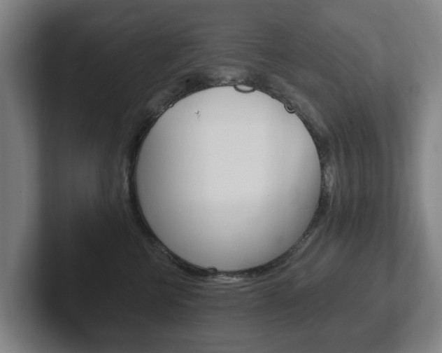 X0000102290570200807251003