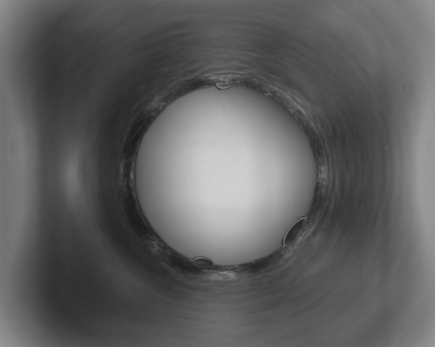 X0000102290572200807251003