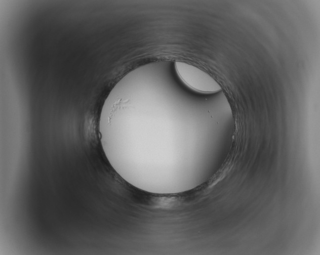 X0000102290575200807251003