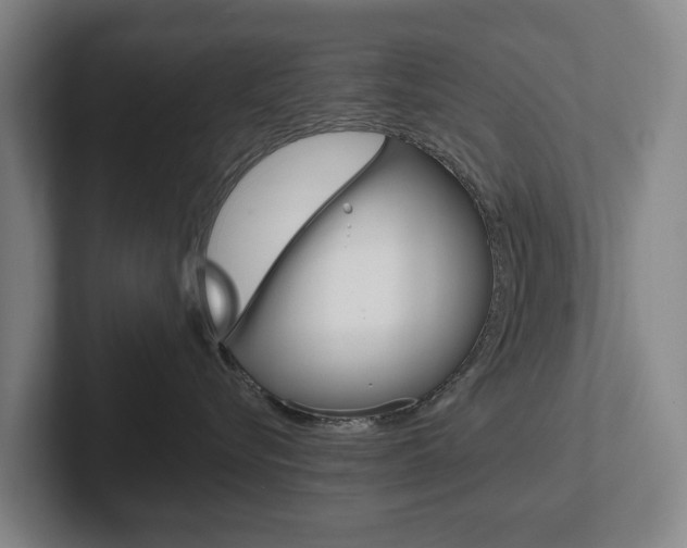 X0000102290576200807251003
