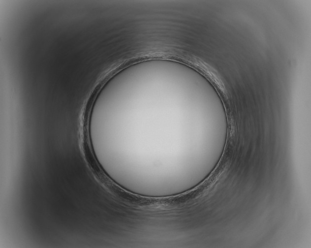 X0000102290578200807251003