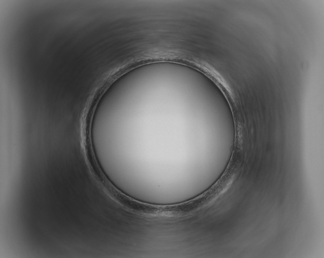 X0000102290581200807251003
