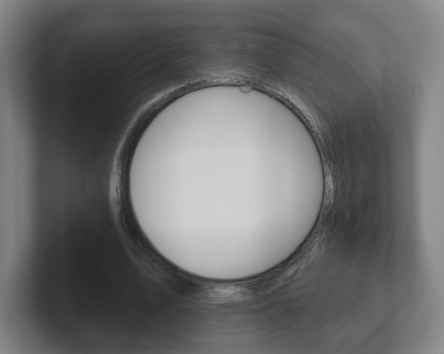 X0000102290583200807251003
