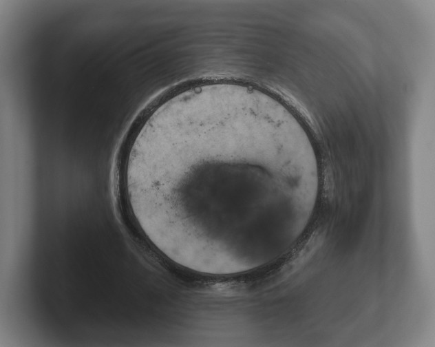 X0000102290584200807251003