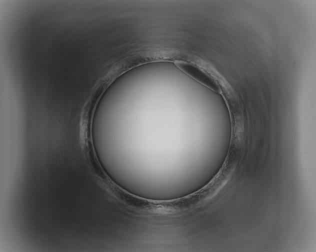 X0000102290585200807251003