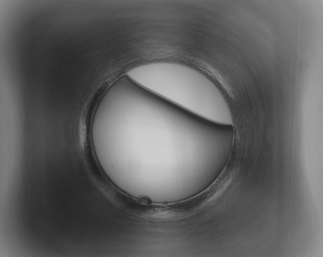 X0000102290589200807251003
