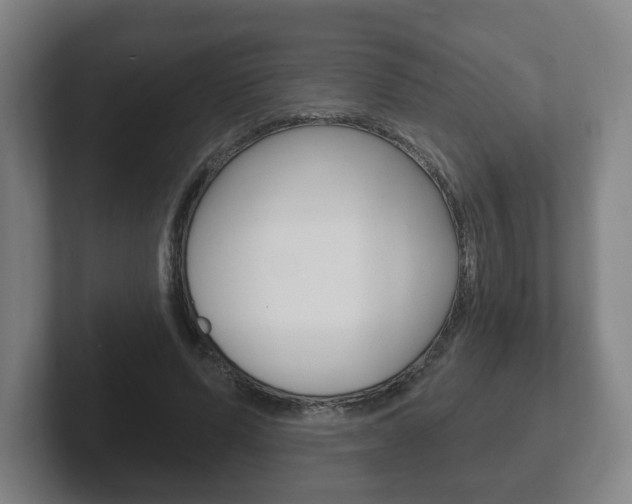 X0000102290591200807251003