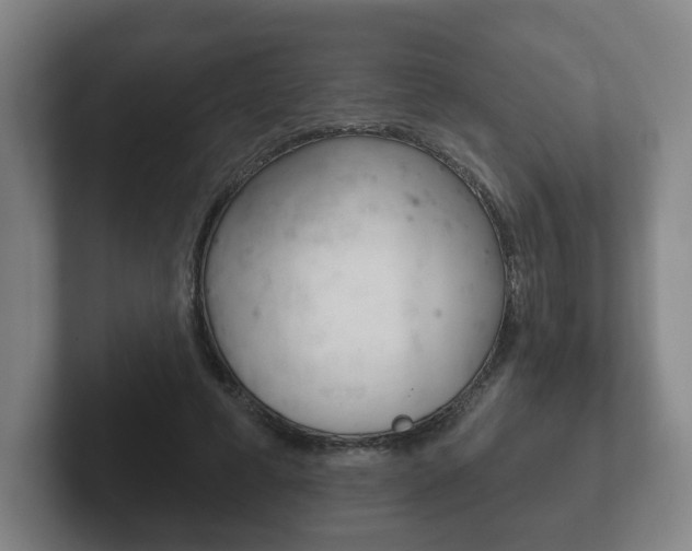 X0000102290593200807251003