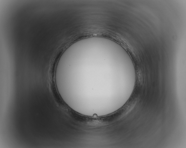 X0000102290594200807251003