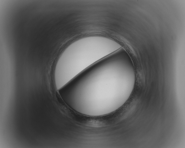 X0000102290596200807251003