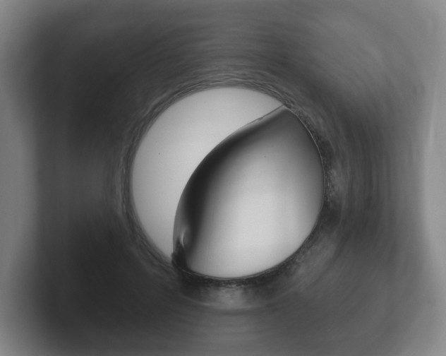 X0000102290600200807251003