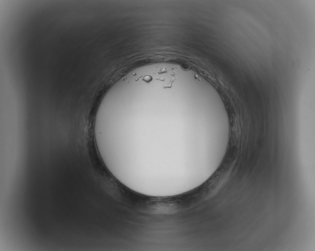 X0000102290601200807251003