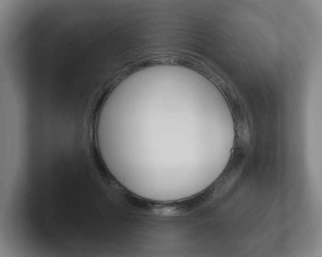 X0000102290602200807251003