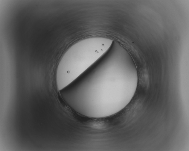 X0000102290604200807251002