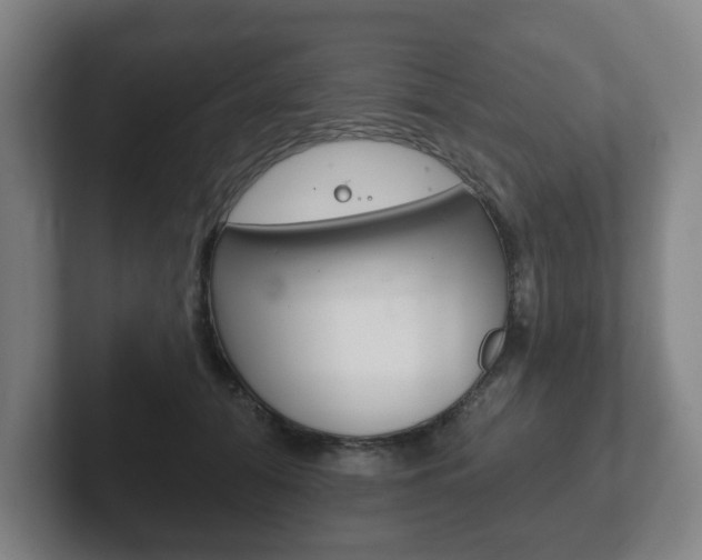 X0000102290608200807251002