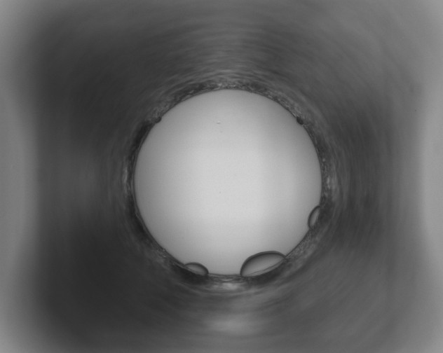 X0000102290610200807251002