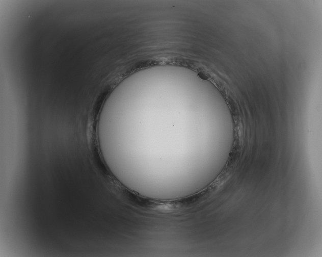X0000102290611200807251002