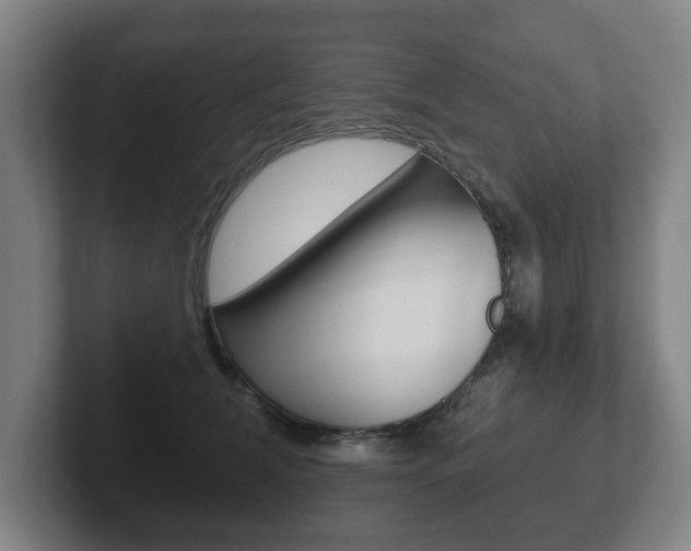 X0000102290612200807251002
