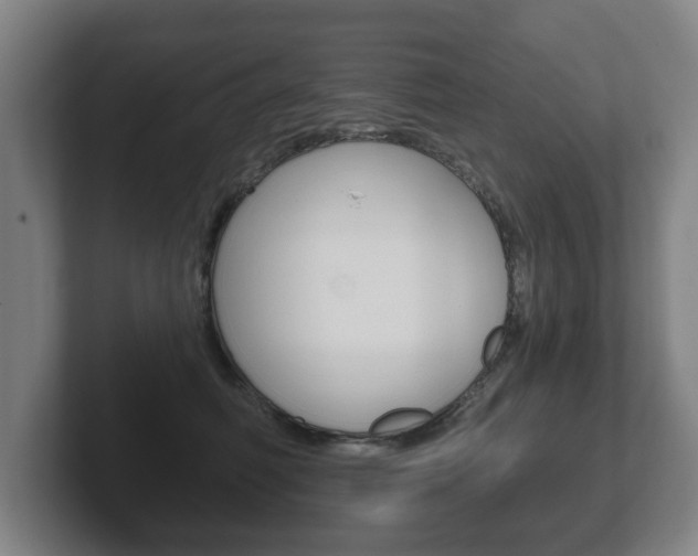 X0000102290614200807251002