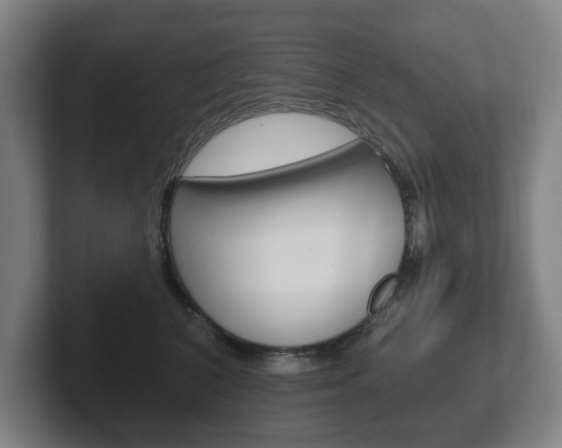 X0000102290616200807251002