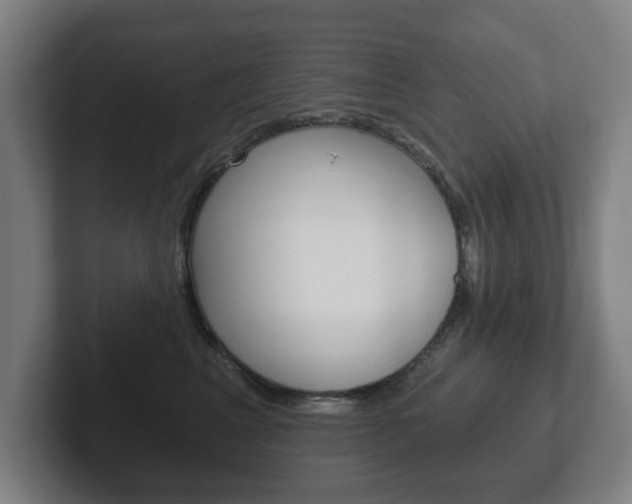 X0000102290617200807251002